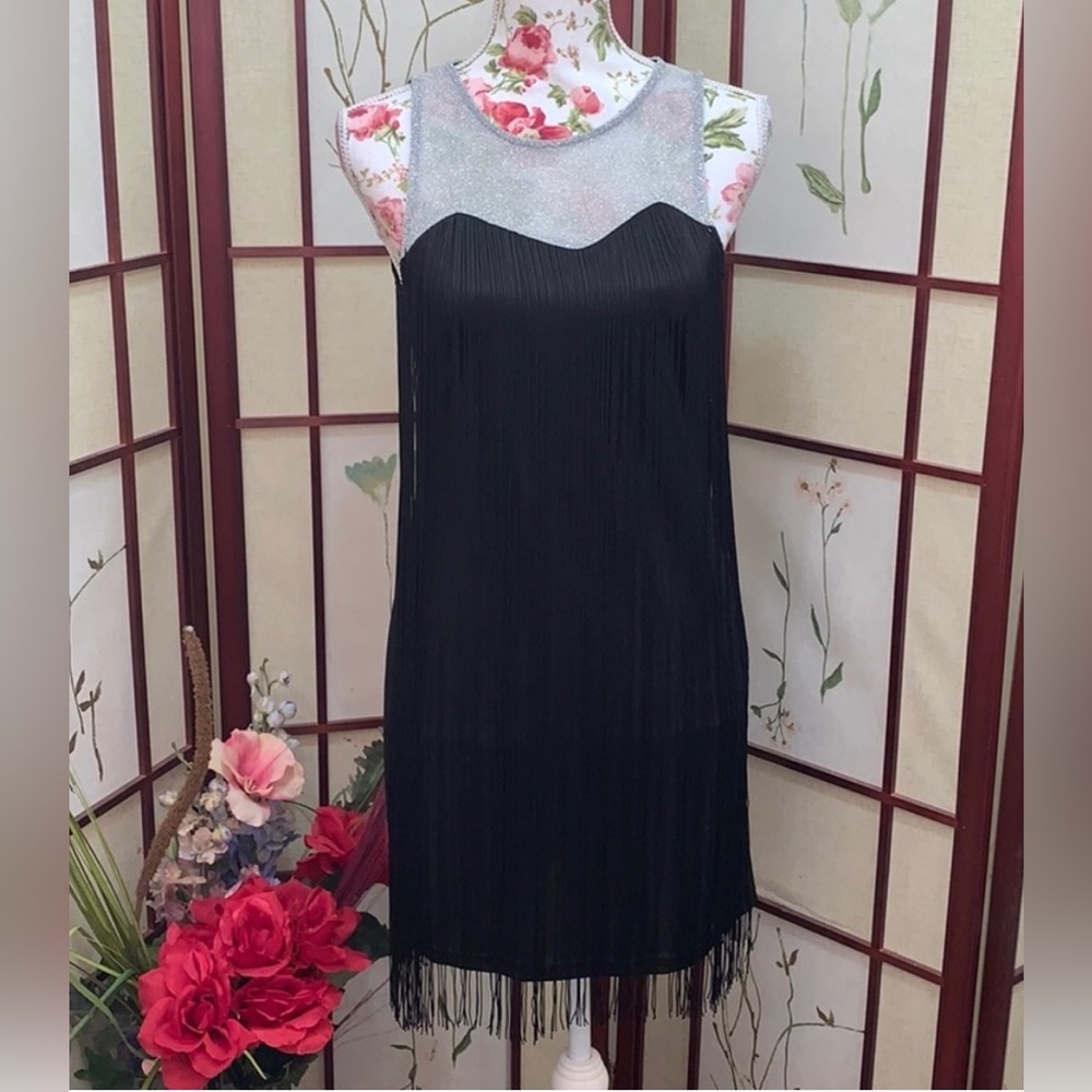 Sexy black/silver fringed dress 👗